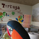 Tortuga food