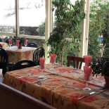 Pizzeria Vik Comida
