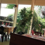Pizzeria Vik Comida