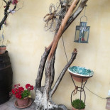 La Gorbe E L'ua Exterior