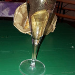 Paloma Comida