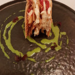 Terracotta Comida