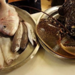 Osteria Cappellino Comida