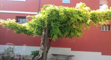 Piccolo Bacco Dei Quaroni inside