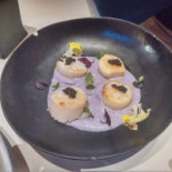 Lady Comida
