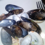 Rosso Canova Comida