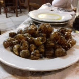 Vecchio Aquarium Comida
