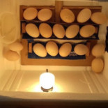 Locanda Mammi' Nourriture