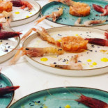 Fish Show Food