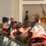 Fish Show Food