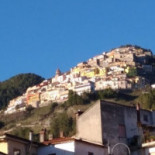 Pino Loricato Comida