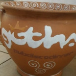 Gotha Nourriture