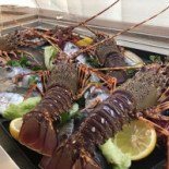 Mirasole Comida