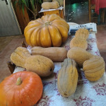 Sottosopra Comida