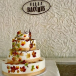 Villa Bacchus Nourriture