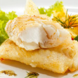 Haccademia Comida