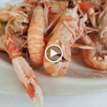 Lancione Nourriture