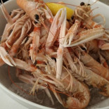 Lancione Nourriture