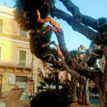 Tiro Vino Exterior