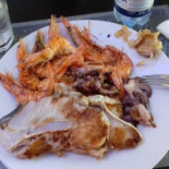 Magnus Fusion Comida