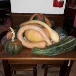 Nuova Locanda Primavera Nourriture