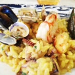 Papillon food