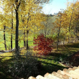 Il Boscasso food