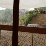 Eyexei Exterior