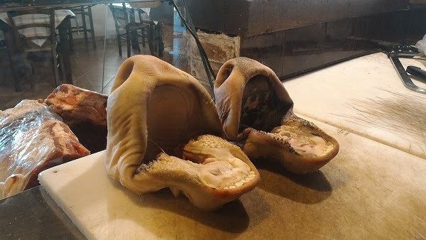 Why Not À l'intérieur