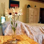 Trattoria Donna Maria Comida