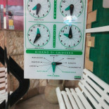 Pizzeria Paradiso À l'intérieur
