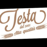 Pasta Testa Nourriture