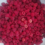 Le Caprette Del Parco food