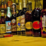 L'orso A Pieve Comida