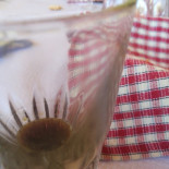 Trattoria Da Tonino food