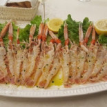 Il Delicato