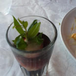 Il Ragno Blu Nourriture