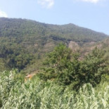 La Capanna Dei Celti Montalto Ligure Im Exterior