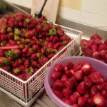 Il Giglio Rosso Nourriture