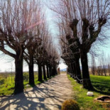 Tenuta La Morra Dentro