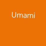 Umami Comida