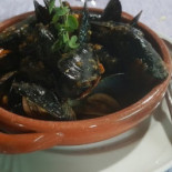 Il Punteruolo Rosso Nourriture