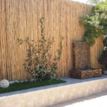 Lido Tricheco Exterior
