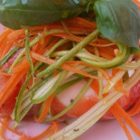 Mange Comida