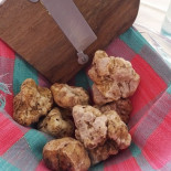 Miralanghe Nourriture