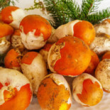 Ristofante food
