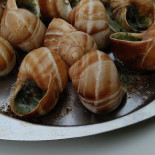 Da Pacio food