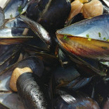 Plinius Food
