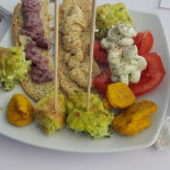 Opera Viva Comida