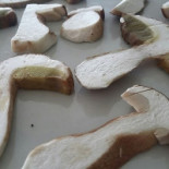 Pizzeria La Collina Nourriture